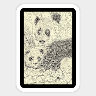 Panda bears Sticker